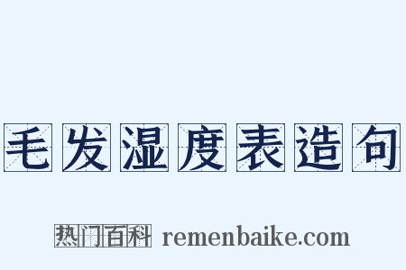 毛发湿度表造句是什么意思的图片